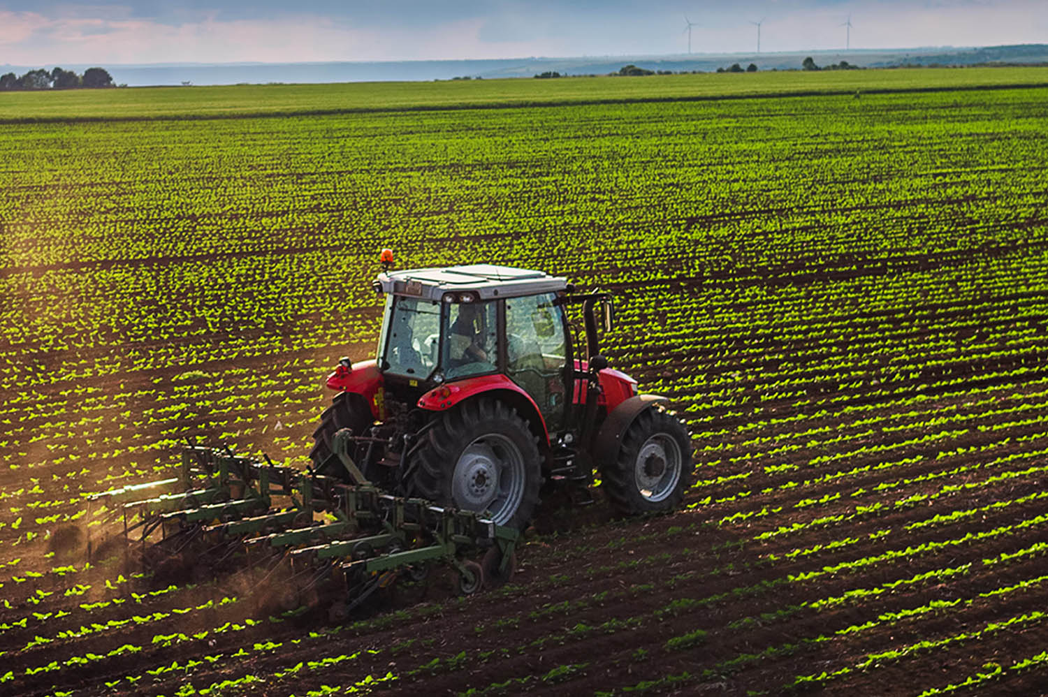 Tractor plowing field