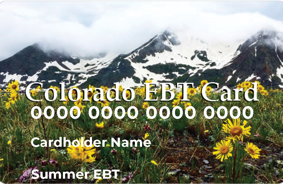 Example of a Summer EBT card