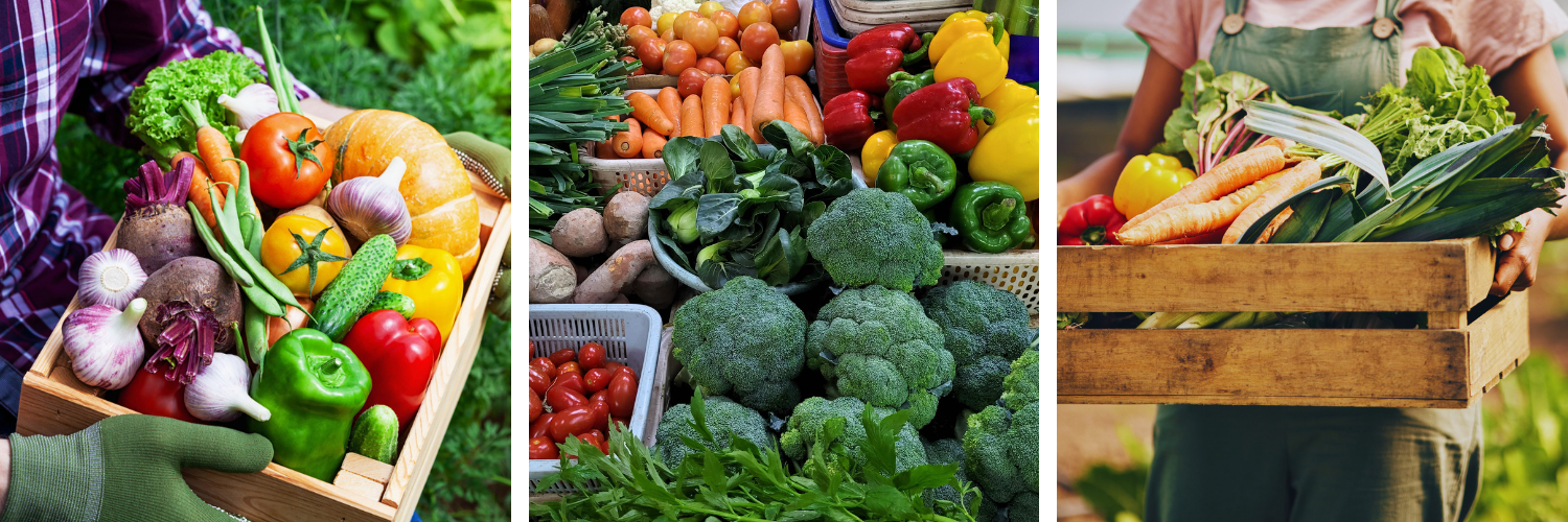 Series of photos of people and vegetables at a farm and a famers market