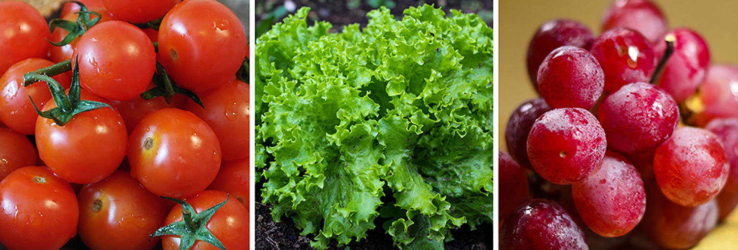 DoD Fresh Fruit and Vegetable Program